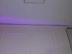 Amateur Free Live Porn of NiaHolland