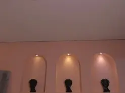 Amateur Adult Webcams of AyshelBrownX