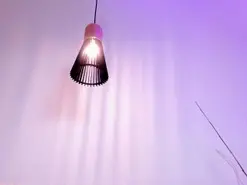 Amateur Free Live Porn of NoraDaSilva