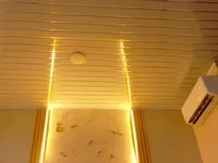 Amateur Adult Webcams of Megan-brown1