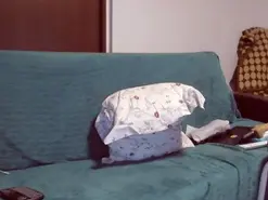 Amateur Live Sex Cam of Monsee