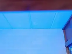 Amateur Live Sex Cam of Amyj