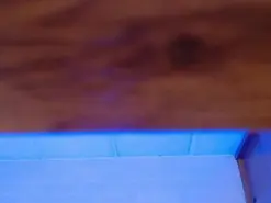 Amateur Sex Cam of Amyj