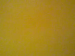 Amateur Adult Video Chat of pepaypepe1987