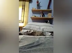 Amateur Adult Webcam of lolipurple1