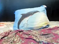 Amateur Live Sex of ultrachick