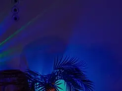 Amateur Free Porn Cam of anabelcurvy