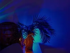 Amateur Best Webcam of anabelcurvy