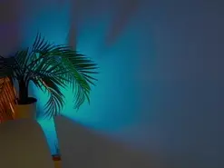 Amateur Best Webcam of anabelcurvy