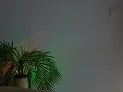 Amateur Watch Live Sex Cams of anabelcurvy