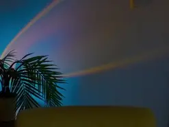 Amateur Live Sex Cam of anabelcurvy