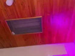 Amateur Sex Cam of emili_clark