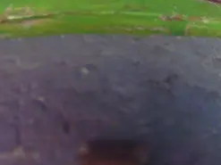 Amateur Best live sex cam show of GusRH