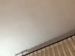 Amateur Free Live Porn of Alfred1992