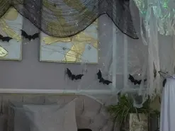 Hd+ milf cams