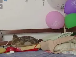 Amateur Live Sex of Moonlunita