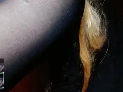 Amateur Live Sex Cam of MidoriQuinn