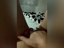 Amateur Live Sex Cam of sofianopor