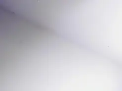 Amateur Free Porn Cam of keendaall