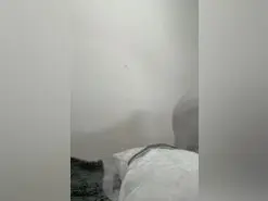 Amateur Free Live Porn of UrsulaHot