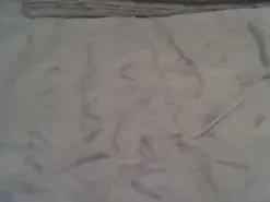 Amateur Best live sex cam show of zorritasuperhot