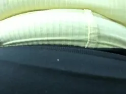 Amateur Adult Webcams of lexxy_bbw_