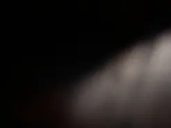 Amateur Free Porn Cam of lexxy_bbw_