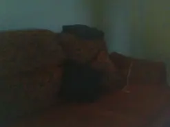 Amateur Private Sex Chat of Deliciosos87