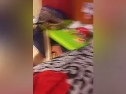 Amateur Live Porn of naomi46