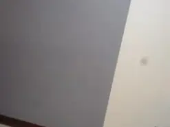 Amateur Free Porn Cam of siomarastar