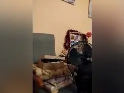 Amateur Live Sex Cam of Mimidulce