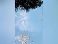 Amateur Best live sex cam show of parejitadelsur2