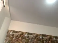 Amateur Free Porn Cam of karla_sweed