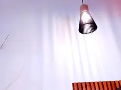 Amateur Sex Cam of AlissaNix