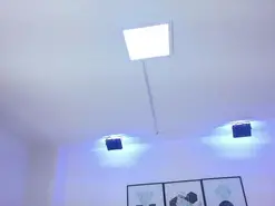 Amateur Private Sex Chat of Tamara_gray