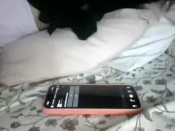 Amateur Live Sex Cam of Parejitaxx1