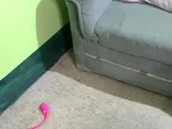 Amateur Live Sex of xXxDeliciaxXx
