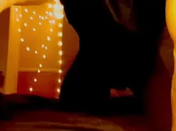 Amateur Private Sex Chat of exhibhot69
