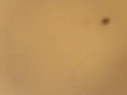 Amateur Best live sex cam show of exhibhot69
