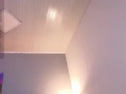 Amateur Sex Chat of ninna_curly
