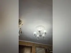 Amateur Best live sex cam show of ZorraDeFuego