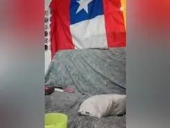 Amateur Best Webcam of Anahi_77