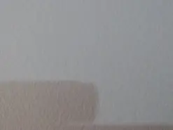 Amateur Free Live Porn of Bellacrespa