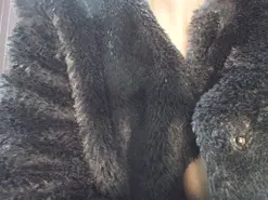 Amateur Free Live Porn of ExoticAngel1