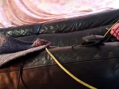 Amateur Watch Live Sex Cams of Tuvecino6