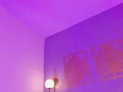 Amateur Watch Live Sex Cams of majo_rose