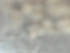 Amateur Nude Webcam of lisagerrard