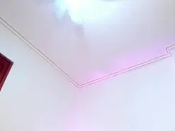 Amateur Sex Cam of ThaliaHarlow