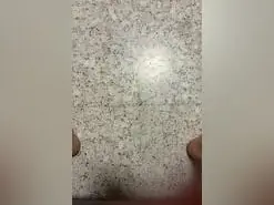 Amateur Nude Webcam of Purepoissonsw