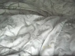 Amateur Free Porn Cam of Sweetdreamzz212